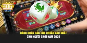 Cách Đoán Bầu Cua Chuẩn Xác Nhất Cho Người Chơi Năm 2026