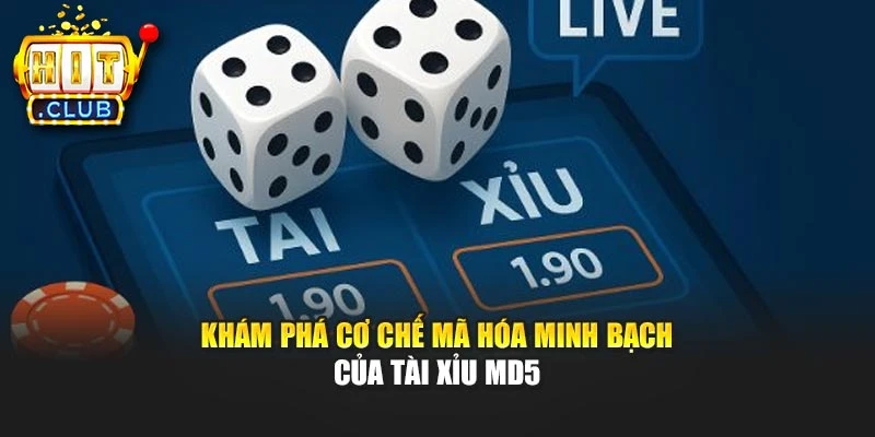 Khám phá cơ chế mã hóa minh bạch của Tài Xỉu MD5